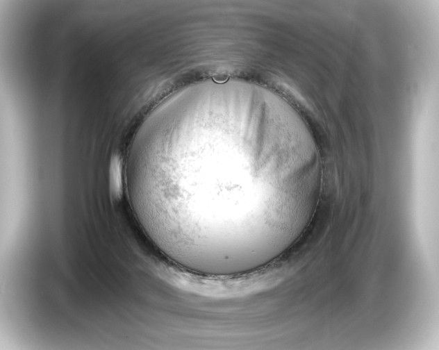 X0000087050022200705021205