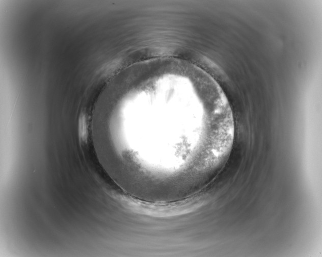 X0000087050026200705021205