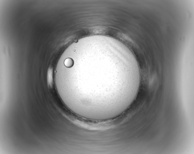 X0000087050028200705021205