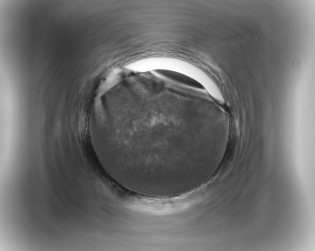 X0000087050029200705021205