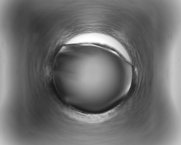 X0000087050031200705021205