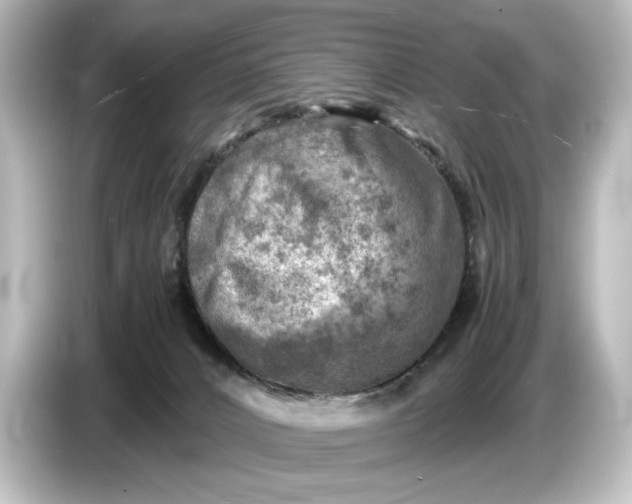 X0000087050032200705021205