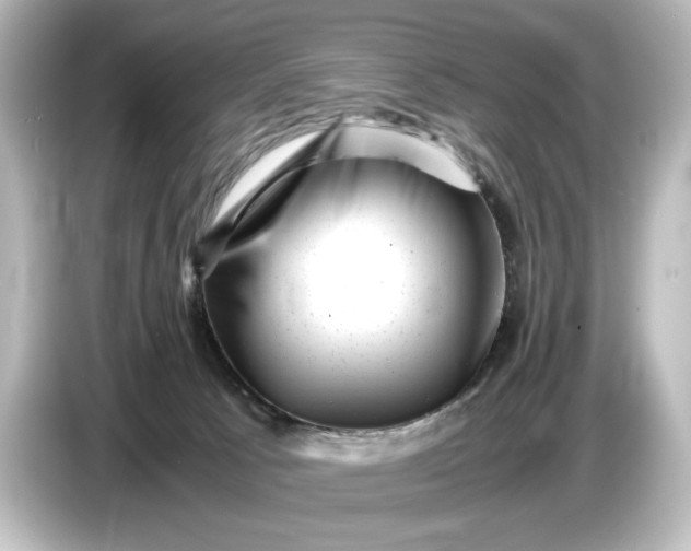 X0000087050033200705021205