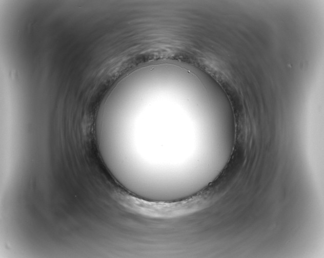 X0000087050034200705021205