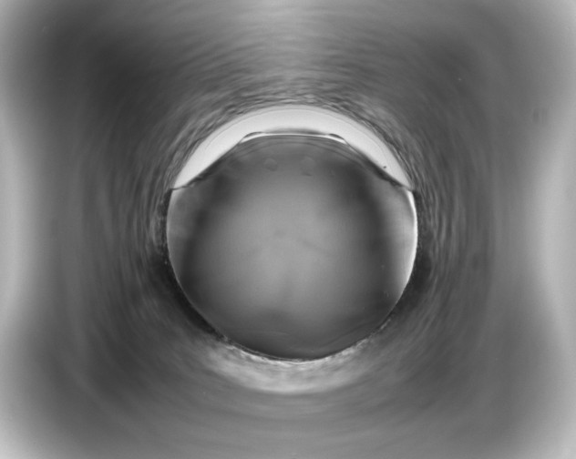 X0000087050035200705021205