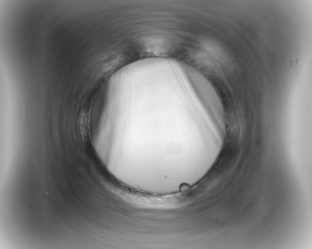 X0000087050036200705021205