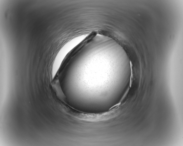 X0000087050037200705021205