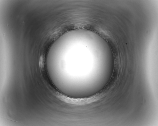 X0000087050038200705021205