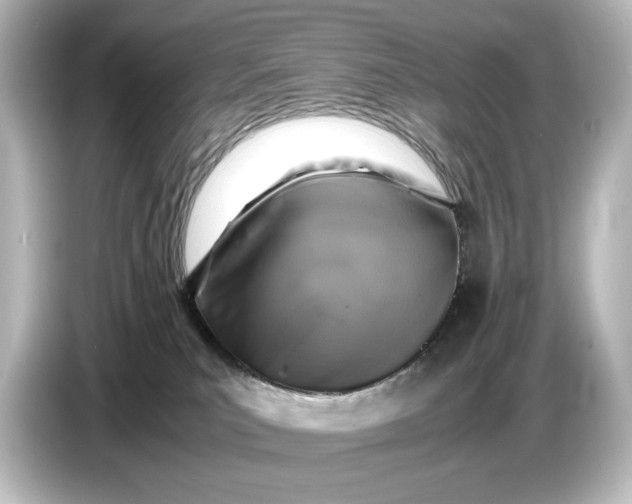 X0000087050039200705021205