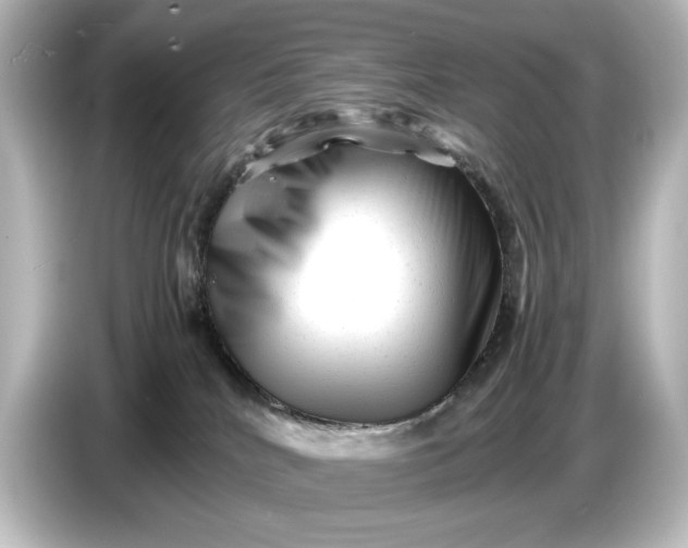 X0000087050040200705021205