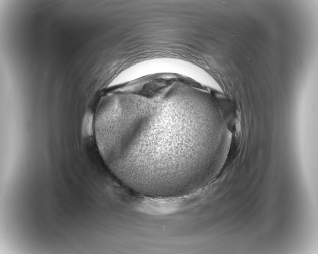 X0000087050041200705021205