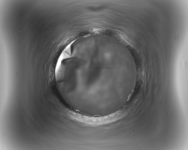 X0000087050043200705021205