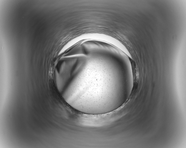 X0000087050045200705021205