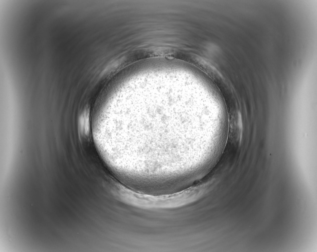 X0000087050046200705021205