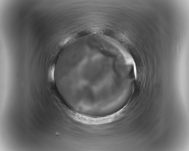 X0000087050047200705021205