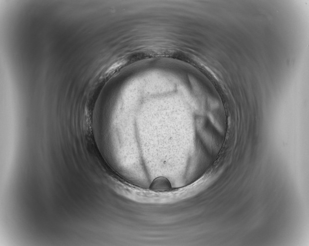 X0000087050048200705021205