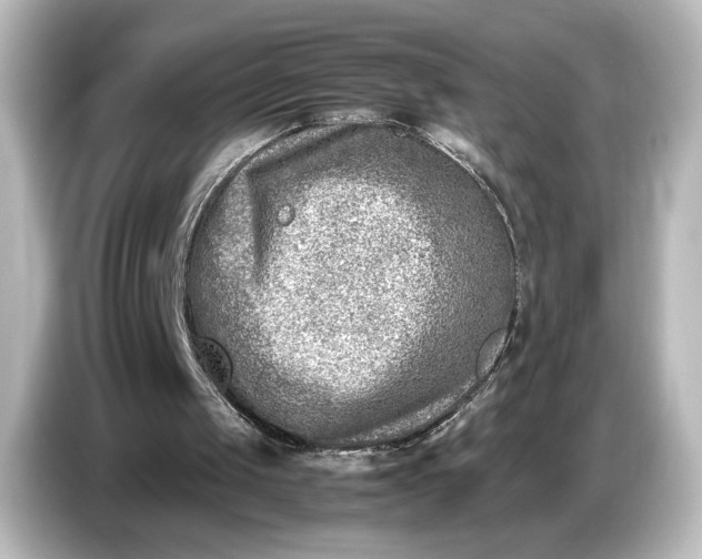 X0000087050049200705021204