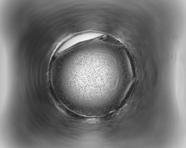 X0000087050050200705021204