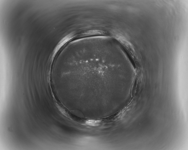 X0000087050051200705021204