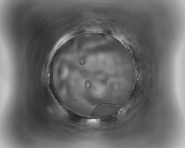 X0000087050053200705021204