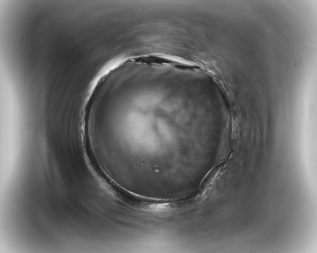 X0000087050054200705021204