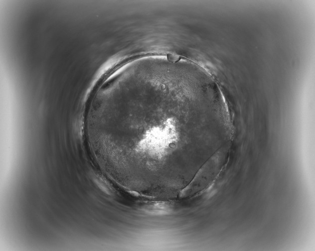 X0000087050056200705021204