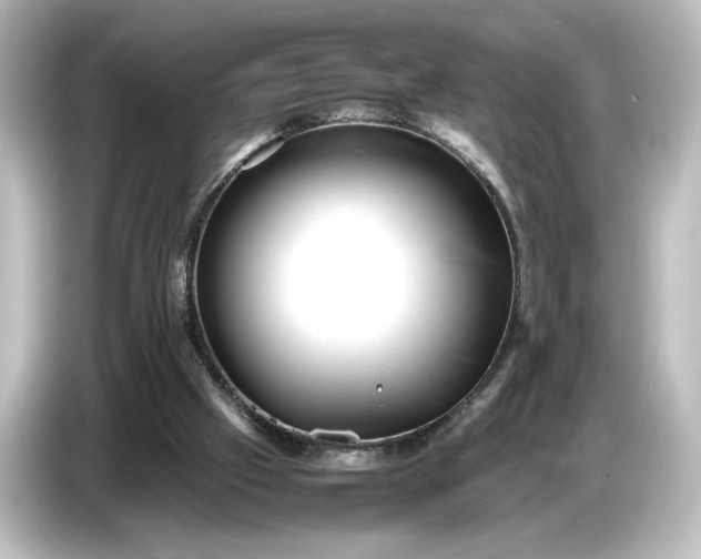 X0000087050057200705021204