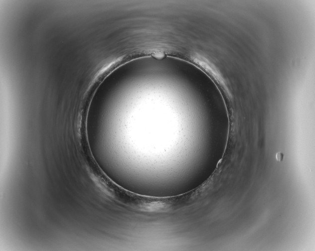 X0000087050058200705021204