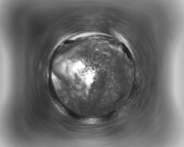 X0000087050059200705021205