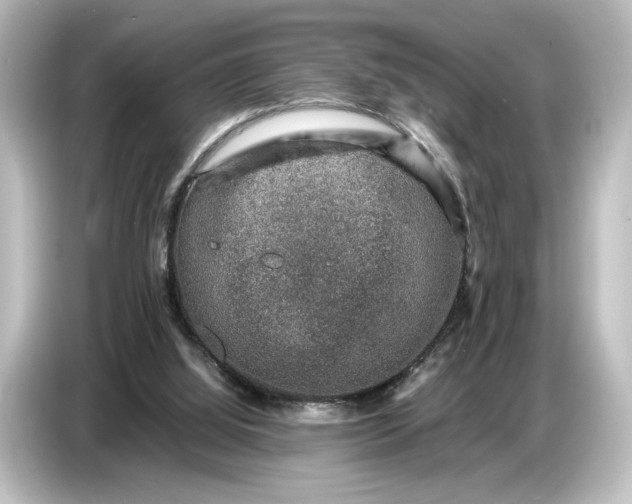 X0000087050060200705021205