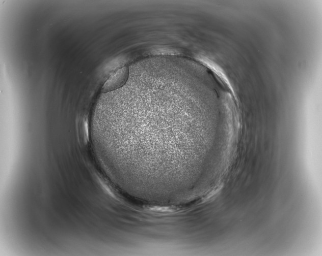 X0000087050061200705021205