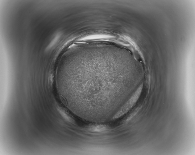 X0000087050063200705021205