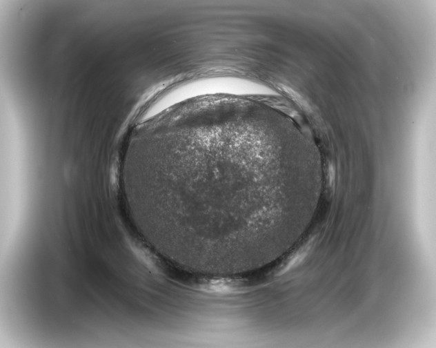 X0000087050064200705021205