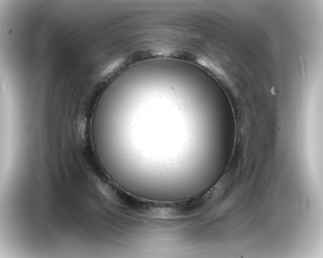 X0000087050066200705021205