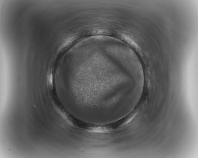 X0000087050067200705021205