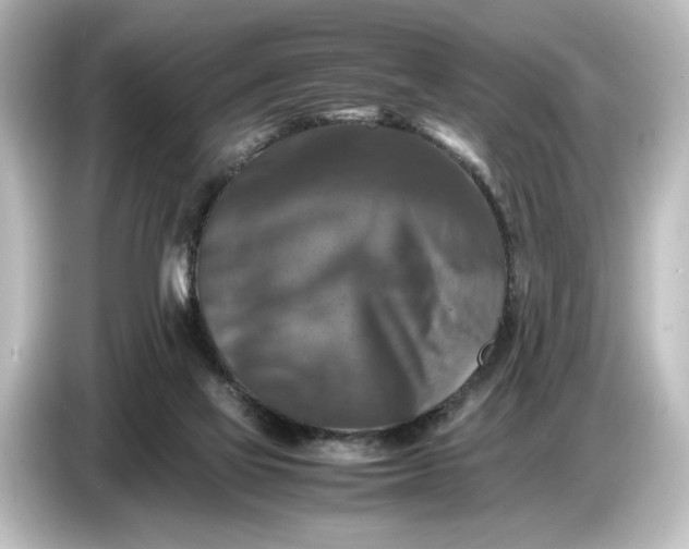 X0000087050069200705021205