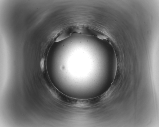 X0000087050070200705021205