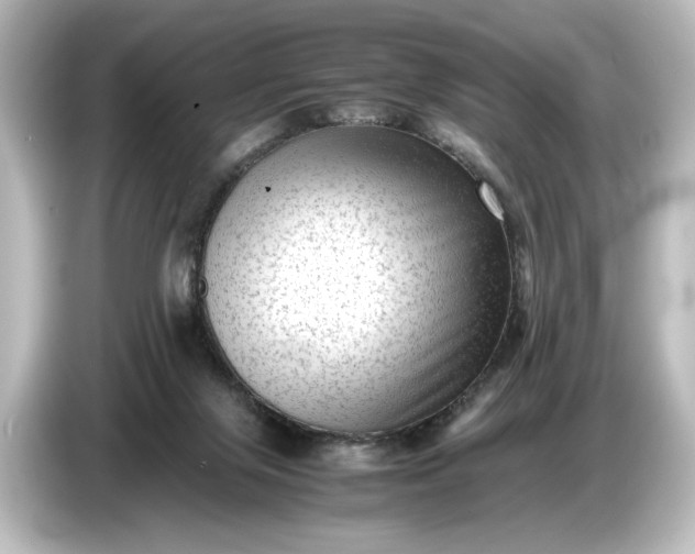 X0000087050071200705021205