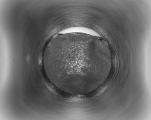 X0000087050072200705021205