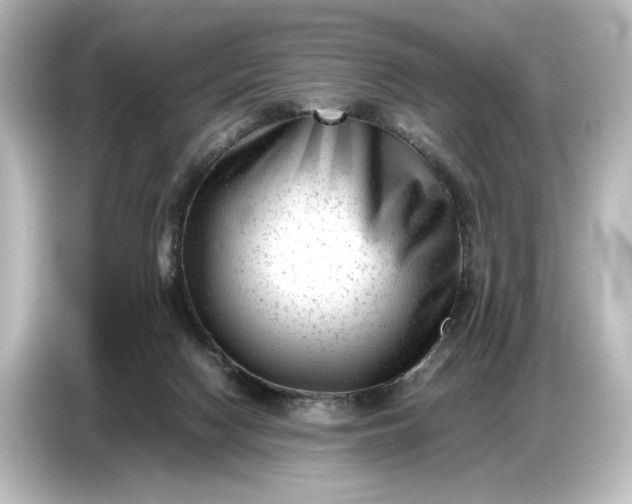 X0000087050074200705021205