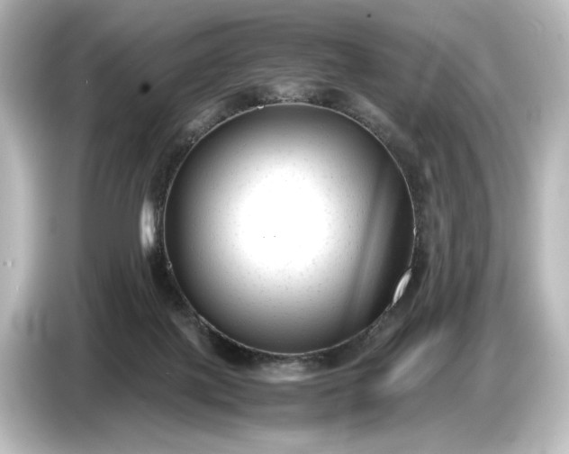 X0000087050075200705021205