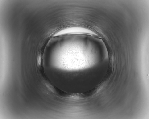 X0000087050076200705021205