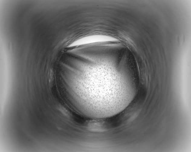 X0000087050077200705021205