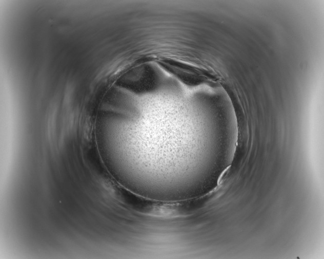 X0000087050078200705021205