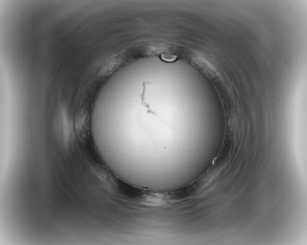 X0000087050079200705021205