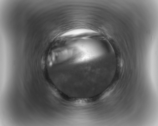 X0000087050080200705021205