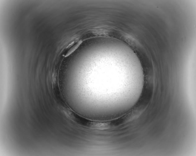 X0000087050081200705021205