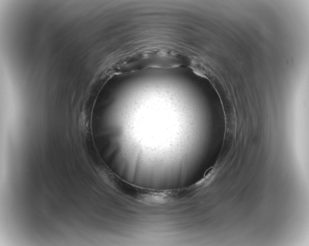 X0000087050086200705021205