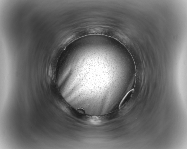 X0000087050091200705021205