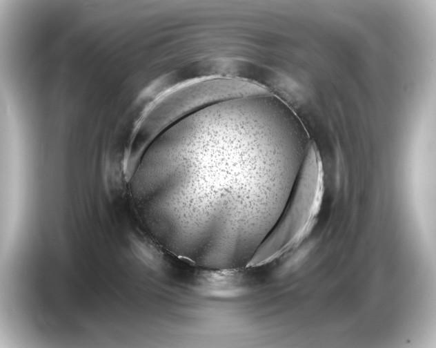 X0000087050092200705021205